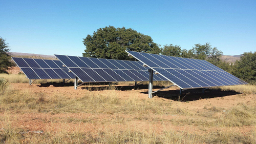 Tree of Life Rejuvenation