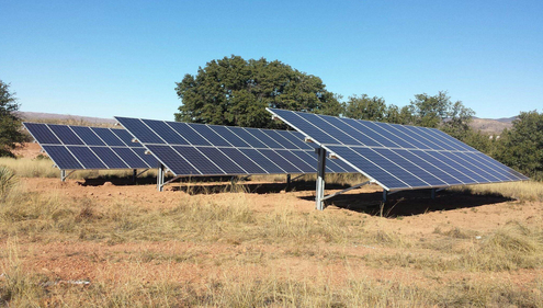 Tree of Life Rejuvenation